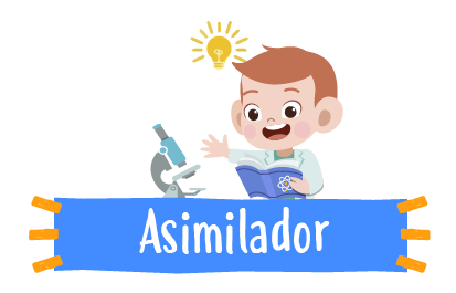 estilo de aprendizaje asimilador